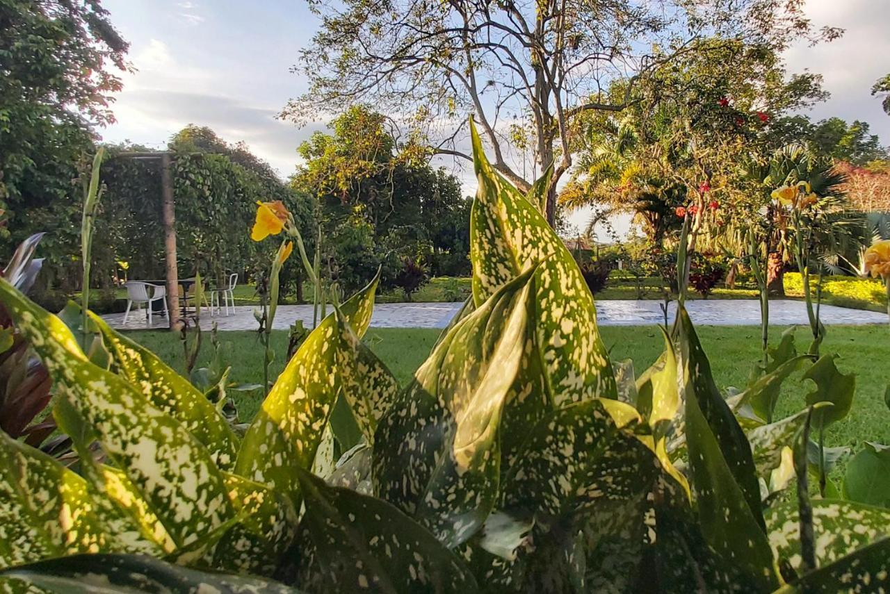 Balsora Hotel Boutique El Edén Zewnętrze zdjęcie